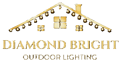 Diamond Bright Inc. — permanent outdoor lighting